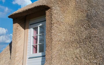 Holt thatch roof disadvantages